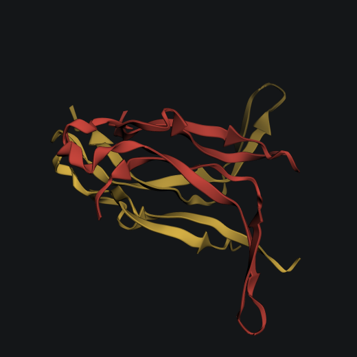 Ribbon structure of the Spätzle cystine-knot dimer, with its two chains shown in yellow and red.